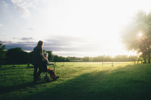 wheelchair user enjoying sunset